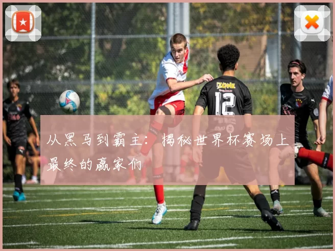 从黑马到霸主：揭秘世界杯赛场上最终的赢家们