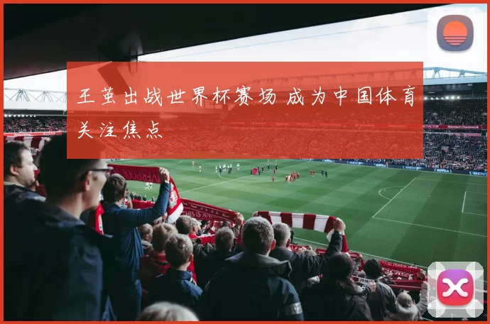 王茧出战世界杯赛场 成为中国体育关注焦点