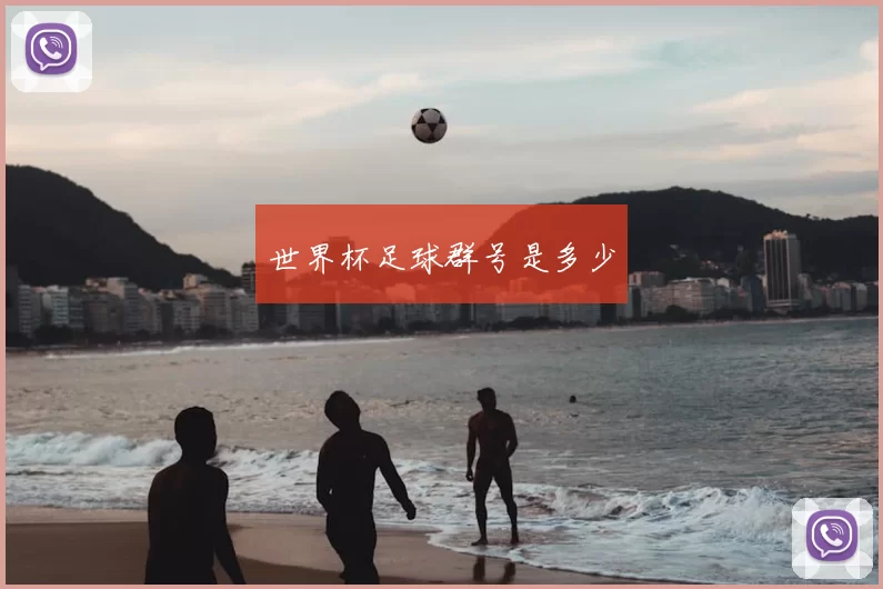 世界杯足球群号是多少