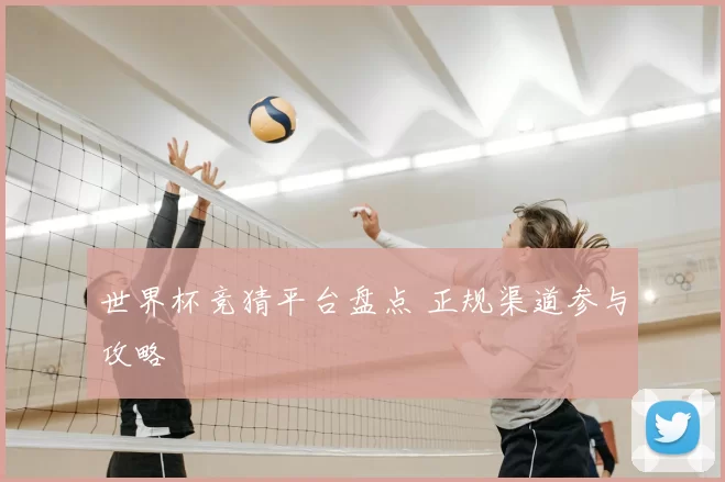 世界杯竞猜平台盘点 正规渠道参与攻略