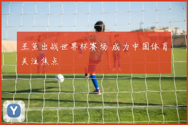 王茧出战世界杯赛场 成为中国体育关注焦点
