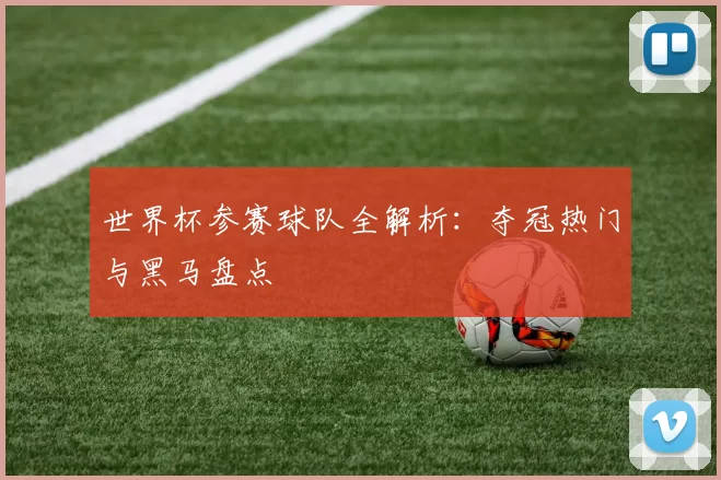 世界杯参赛球队全解析：夺冠热门与黑马盘点