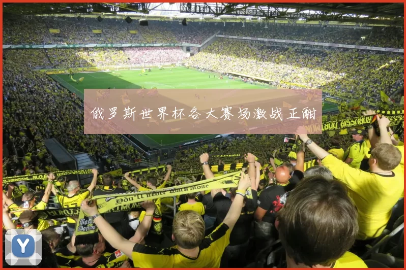 俄罗斯世界杯各大赛场激战正酣