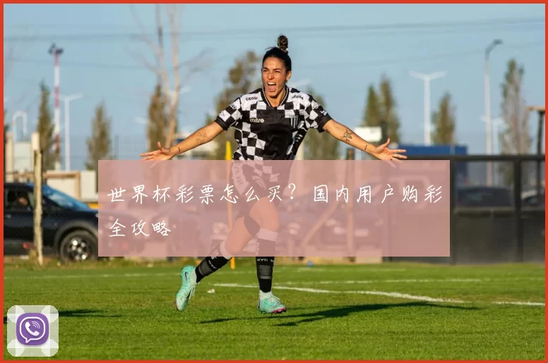 世界杯彩票怎么买？国内用户购彩全攻略