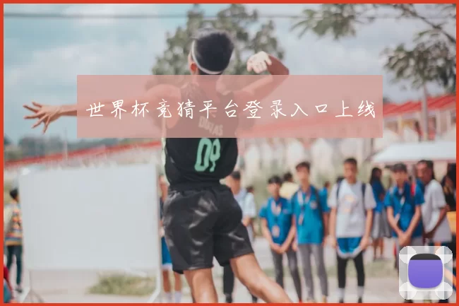 世界杯竞猜平台登录入口上线