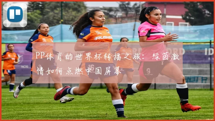 PP体育的世界杯转播之旅:绿茵激情如何点燃中国屏幕