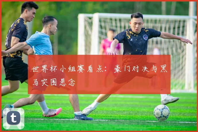 世界杯小组赛看点：豪门对决与黑马突围悬念