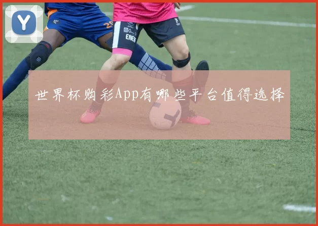 世界杯购彩App有哪些平台值得选择