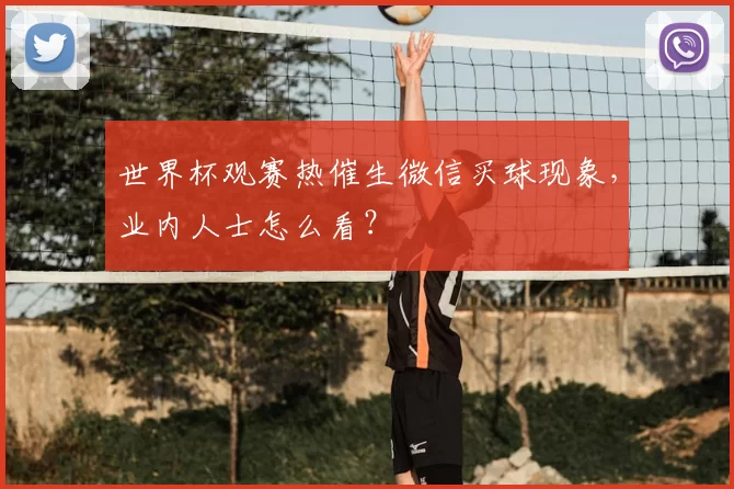 世界杯观赛热催生微信买球现象，业内人士怎么看？