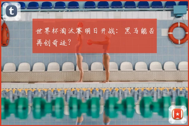 世界杯淘汰赛明日开战：黑马能否再创奇迹？