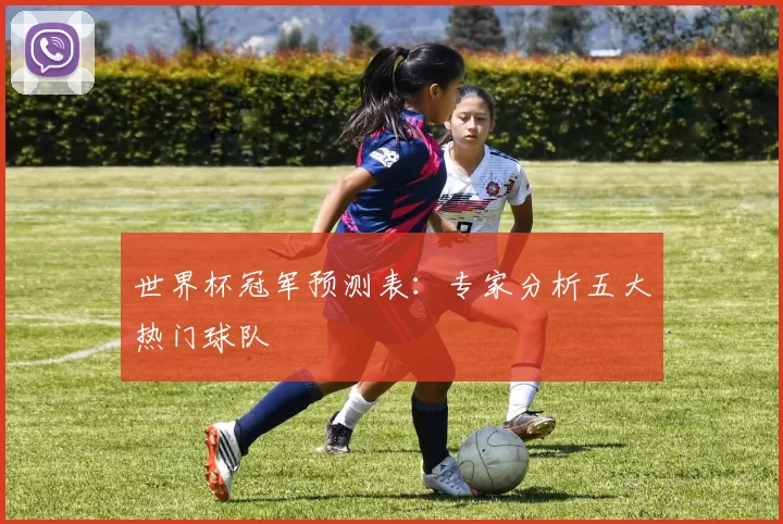 世界杯冠军预测表：专家分析五大热门球队