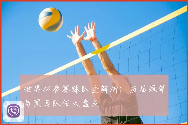 世界杯参赛球队全解析：历届冠军与黑马队伍大盘点