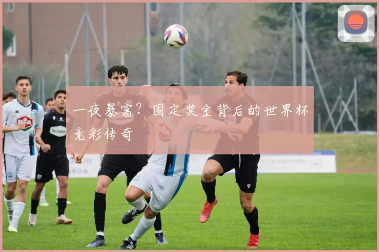 一夜暴富？固定奖金背后的世界杯竞彩传奇